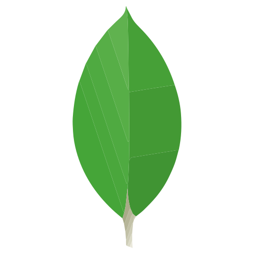 Skill Icon